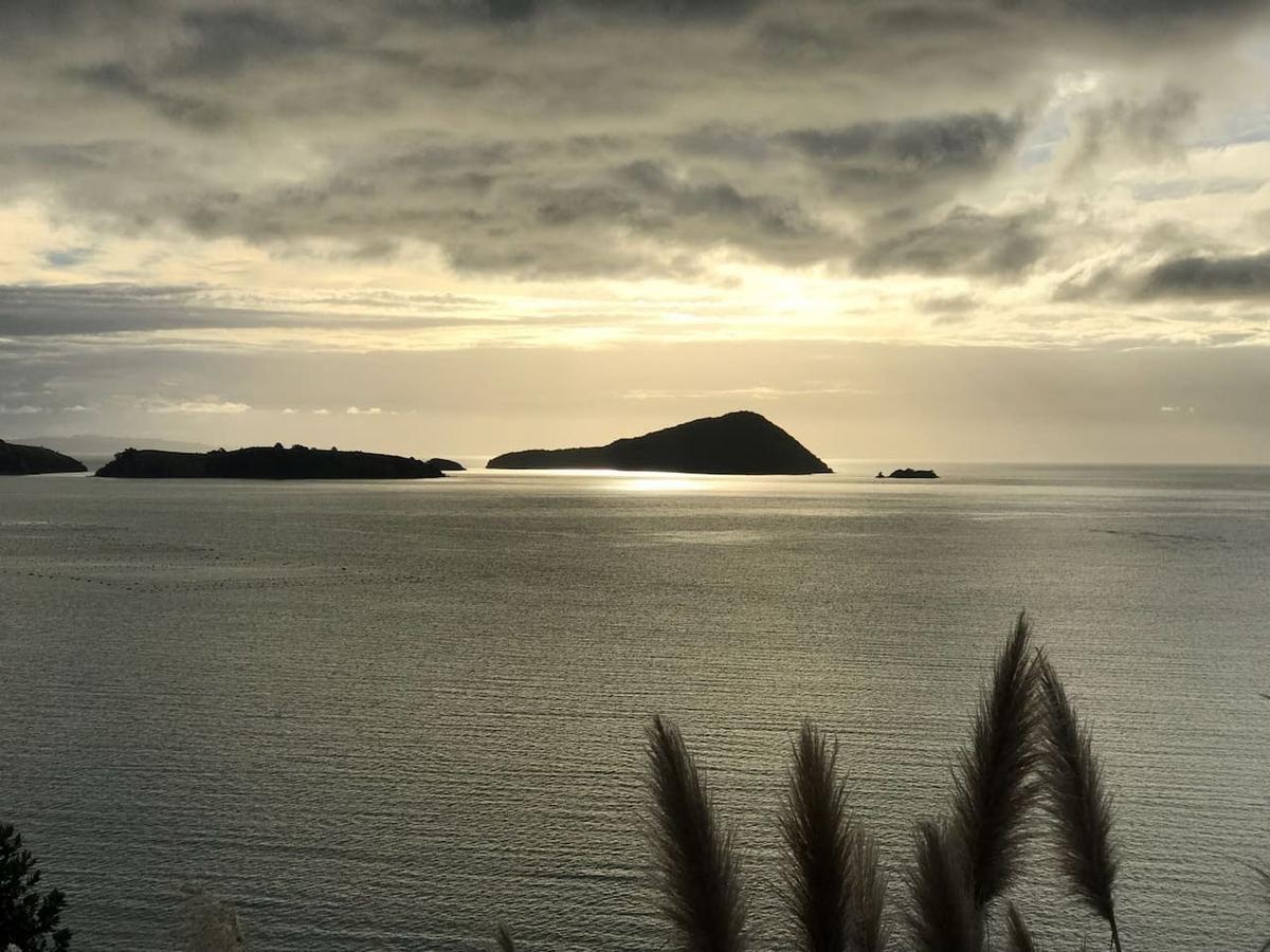 Island View Experience Villa Coromandel Exterior foto