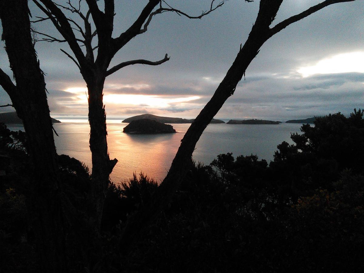 Island View Experience Villa Coromandel Exterior foto